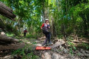 BIB: 
                            <button type="button" onclick="openModal(19389242)" class="btn btn-primary btn-sm float-right btn-popup" data-toggle="modal" data-target=".modal-high-quality">
                        <i class="fas fa-shopping-cart"></i> Add to Cart
                    </button>
                                            <button type="button" onclick="isThisMe(19389242, true)" class="btn btn-success btn-sm float-right btn-popup btn-isme hidden" data-toggle="tooltip" data-placement="bottom" title="นี่คือรูปของคุณใช่ไหม คลิกที่นี่เพื่อเอาเข้าอัลบั้ม">
                        <i class="fas fa-plus"></i> Add to album
                    </button>
                    <button type="button" onclick="isThisMe(19389242, false)" class="btn btn-warning btn-sm float-right btn-popup btn-isnotme hidden">
                        <i class="fas fa-ban"></i> Remove from album
                    </button>